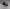 Surron Throttle for E-bikes