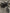 Yozma Full Graphics Kit (In10 and In10 Pro) Collective